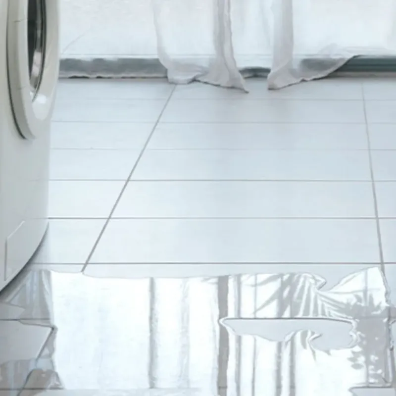 Appliance Leak Cleanup in Orlando, FL